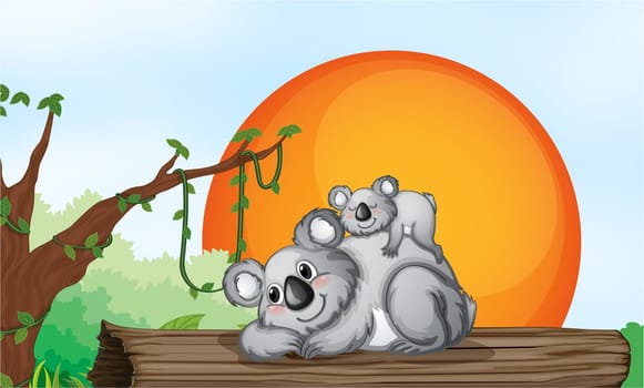 illustration of two grey bears resting on a wood
