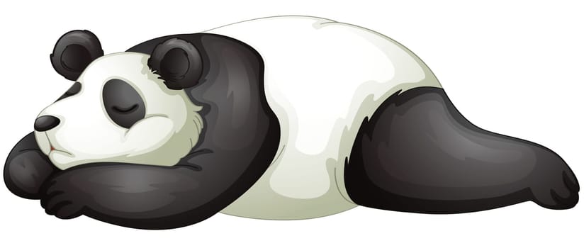illustration of a panda on a white background