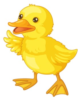 Illustration of an isolated duck
