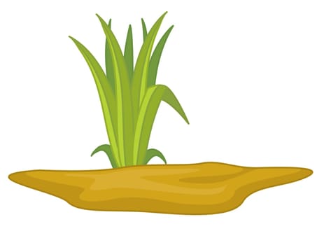 an illustration of a plant in soil