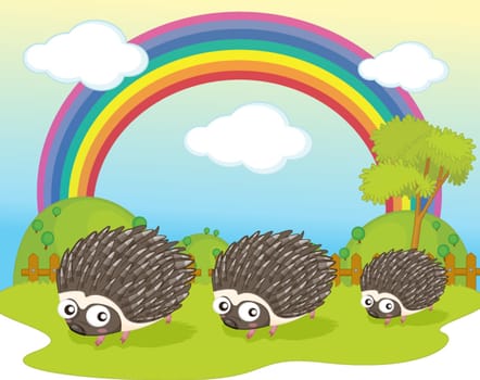 illustration of hedgehog on rainbow background