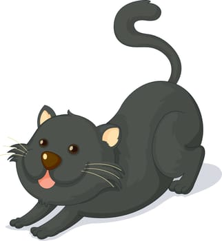 illustration of cat on white