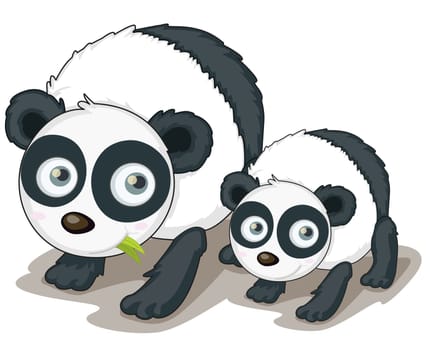 Illustration of two panda bears on white