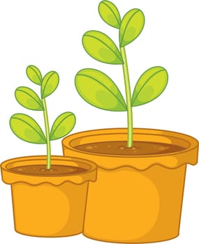illustration of plant in a pot on white