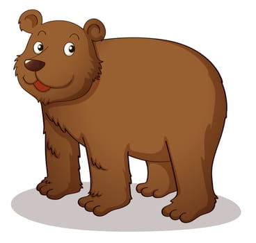Brown grizzly on white background