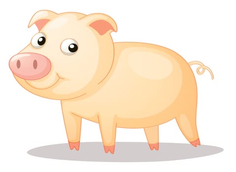 Illustration of a cute piggy