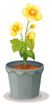 illustration of a flower pot on a white background