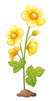 Illustration of isolated flower in soil