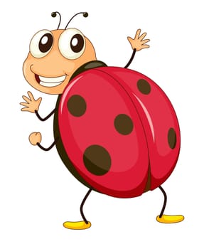 illustration of a comical ladybird
