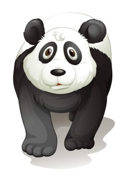 illustration of a panda on a white background
