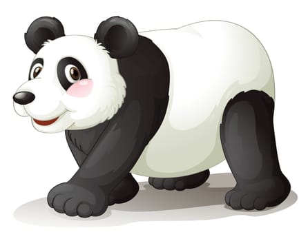 illustration of panda on a white background