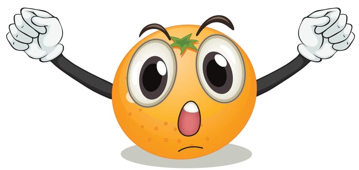 illustration of an orange on a white background