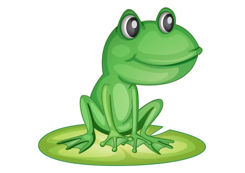 Illustration of a frog on a lily pad