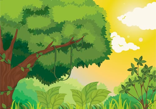 Lush jungle scene at sunset