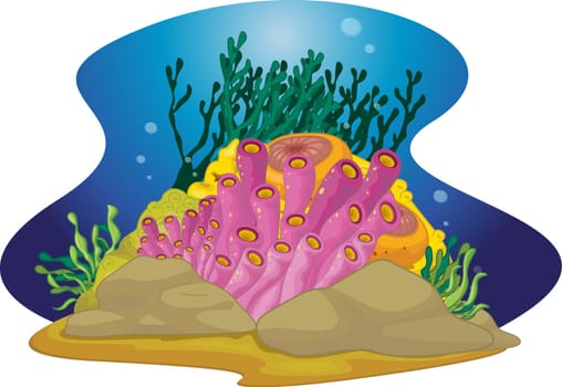 Colourful medely of seaweed with bubbles