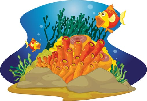 two gaping fish