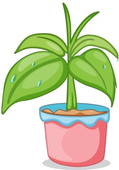 Illustration of a pot with a plant on a white background
