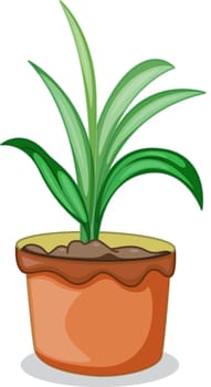 Illustration of a pot with a plant on a white background