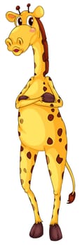 Cute giraffe on a white background