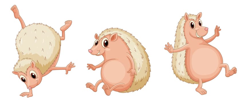 Illustraiton of hedgehogs on white