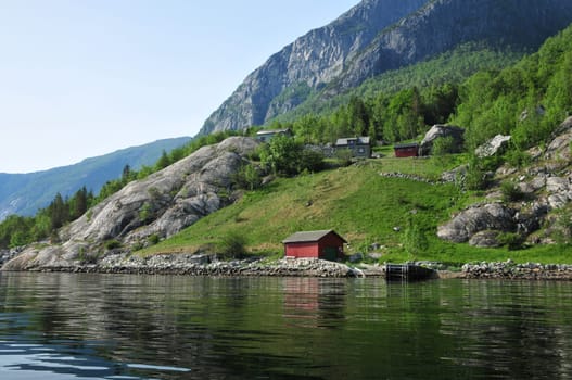 At the Hardangerfjord in Norway