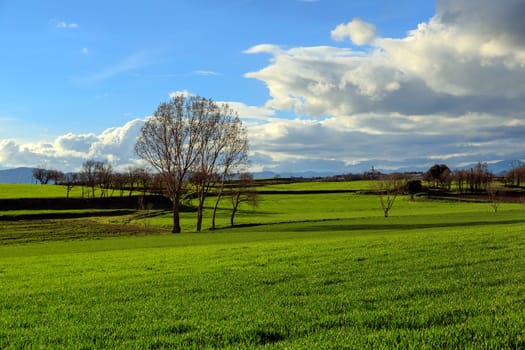 Catalan countryside, with blue skies and clean, early spring. Spain