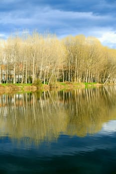 river Ter, reflections of the trees in its path by Roda, Catalonia, Spain
