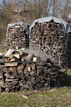 Wooden fins in a garden