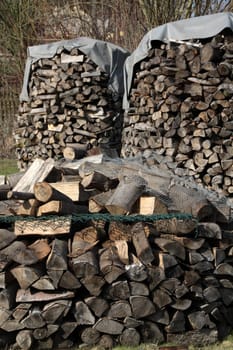 Wooden fins in a garden