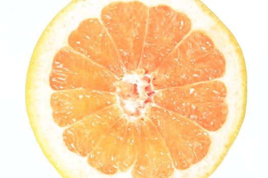 Halved grapefruit,exempt (Citrus x aurantium/ Citrus paradisi)