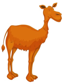 illustration of a camel on white background