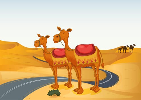 illustration of camels in a desert and road