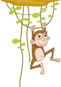 Illustration of a monkey on a vine