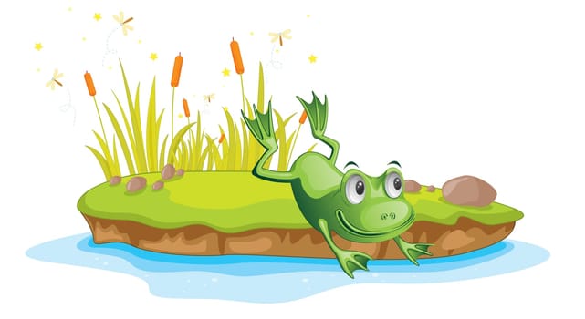 Illustration of  a cartoon frog on white
