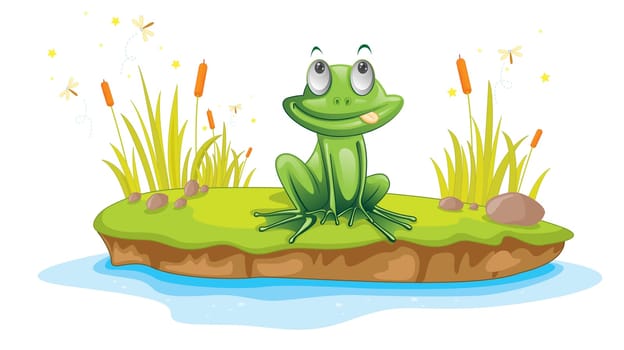 Illustration of  a cartoon frog on white