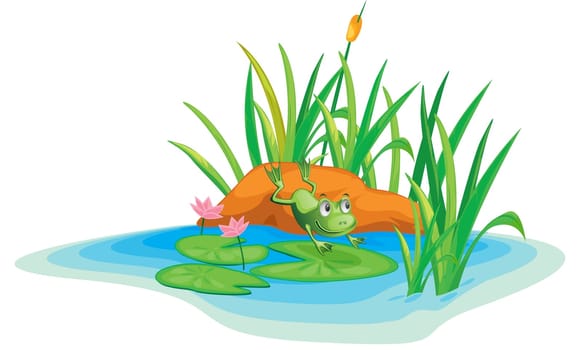 Illustration of  a island on white
