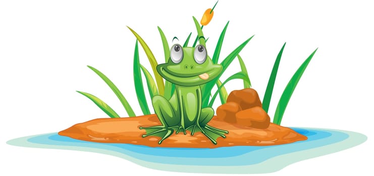 illustration of frog on island