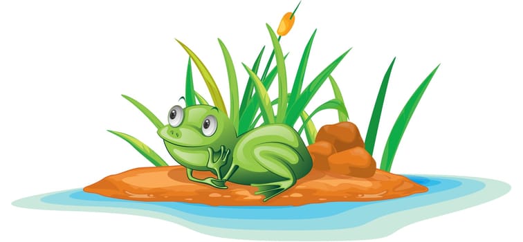 illustration of frog on island