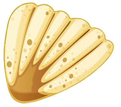 illustration of sea shell on white