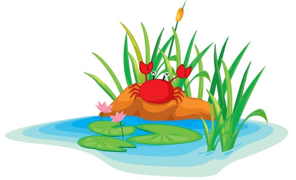 illustration of a crab on island