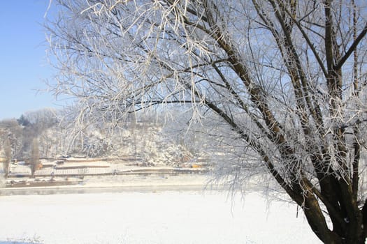 A cold winter's day with hoarfrost in the Elbe valley near Meissen,Saxony,Germany