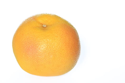 Grapefruit exempt (Citrus x aurantium/ Citrus paradisi)
