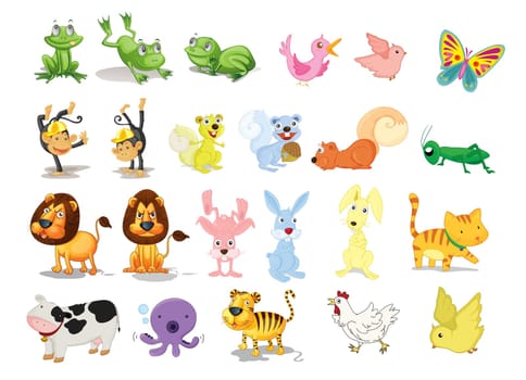 assorted animal illustrations