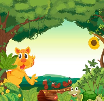 illustration of various animals in the forest