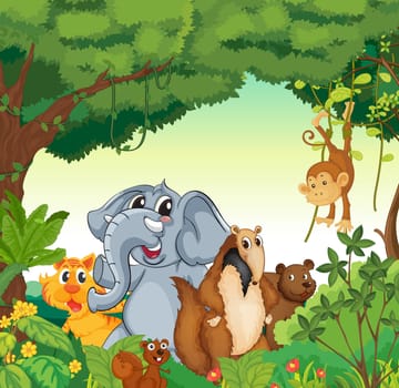 illustration of various animals in the forest