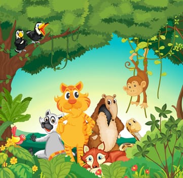 Illustration of a forest scene with different animals