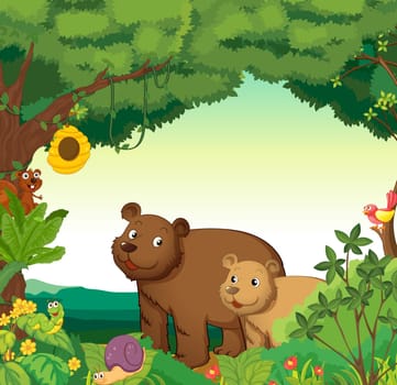 Illustration of a forest scene with different animals