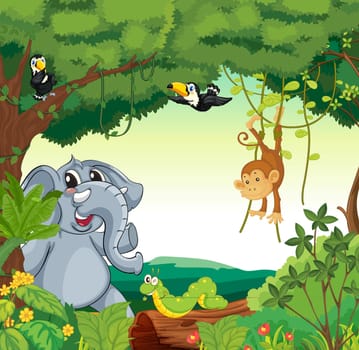 Illustration of a forest scene with different animals