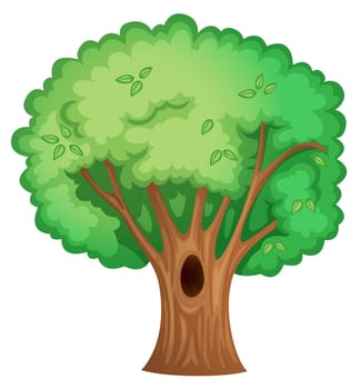 Illustration of isolated tree with hollow