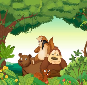 illustration of various animals in the forest